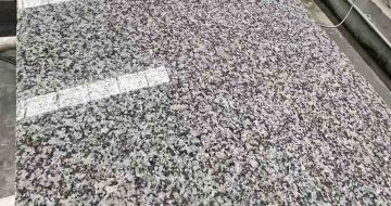 山西 芙蓉白光面