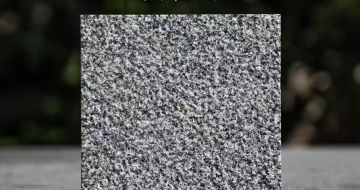 山西 芝麻黑荔枝面