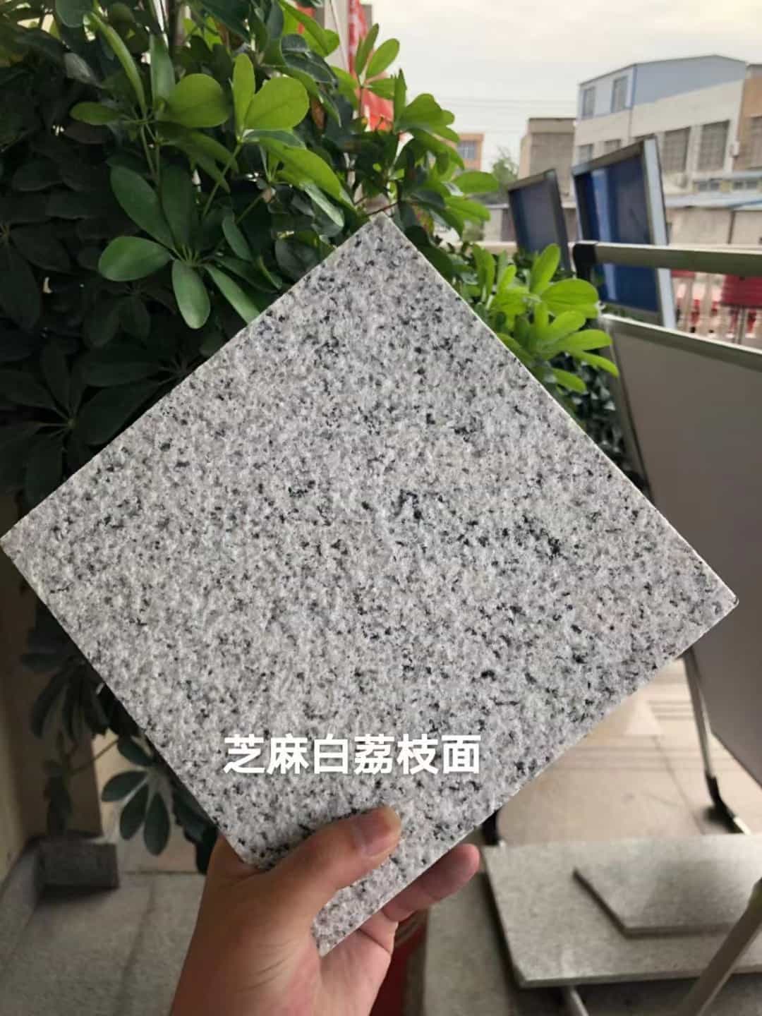 山西 芝麻白荔枝面干挂