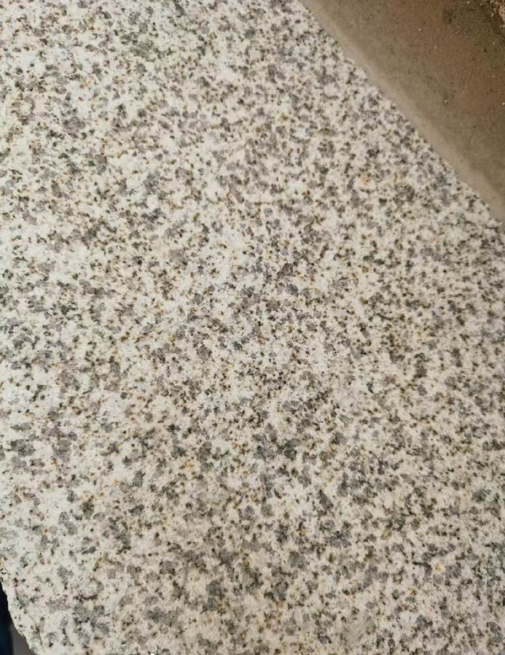 山西 黄金麻中黄光面